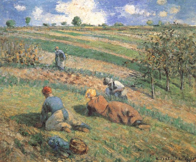 Camille Pissarro Field work Sweden oil painting art